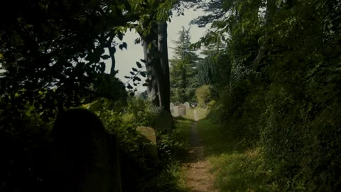 Old Cemetery Stock Footage 285398150