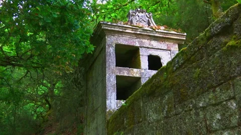 AN OLD CEMETERY IN THE FOREST Stock Footage 95668535