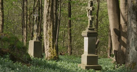 Old cemetery in the forest, tilt down, spring, 4k Video stock 89647651