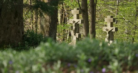Old cemetery in the forest, tilt left, sprin Stock Footage 89647716