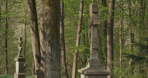 Old cemetery in the forest, tilt left, spring, 4k Stock Footage 89749891