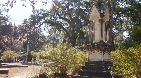 Old Cemetery Headstone. Stock-Footage 44982728