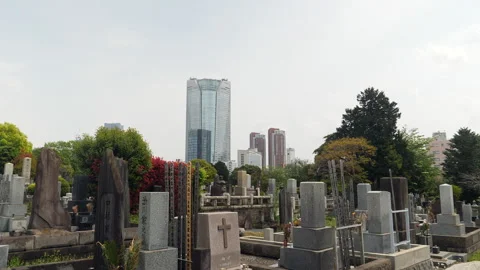 Old cemetery on hill with skyscraper in the background. Tokyo, Japan. Stock Footage 247663607