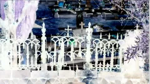 Old Cemetery (negative) Stock Footage 11914350