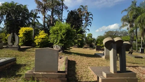 Old Cemetery with Palm Trees, Tracking Shot Left to Right 50fps Vídeo Stock 337292637