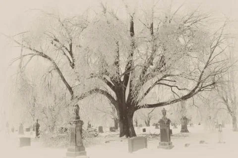Old cemetery Stock Photos