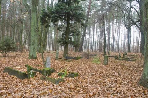 Old cemetery Stock Photos