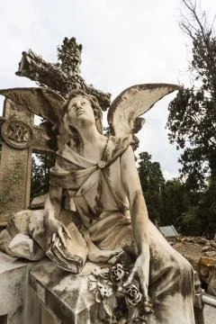 Old cemetery Foto stock