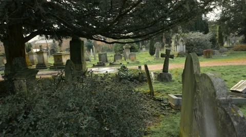 Old Cemetery  under Trees, Cambridge, UK Stock Footage 59459009