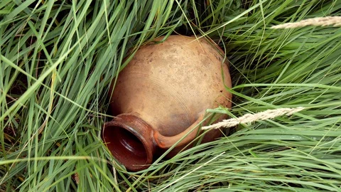 Old Ceramic Jug Lying In Grass Stock Footage 127718401