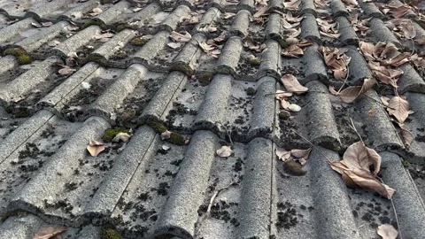 Old ceramic roof Stock Footage 232218816