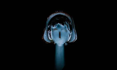 An Old Ceramic Statue Stock Photos