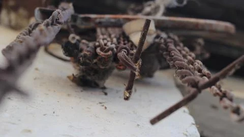 Old chains hanging from the wall Stock Photos