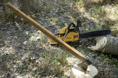 An old chainsaw in forest ground 写真素材