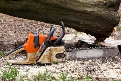 The old chainsaw 스톡 사진