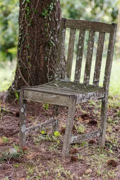 An old chair under a tree Stock Photos