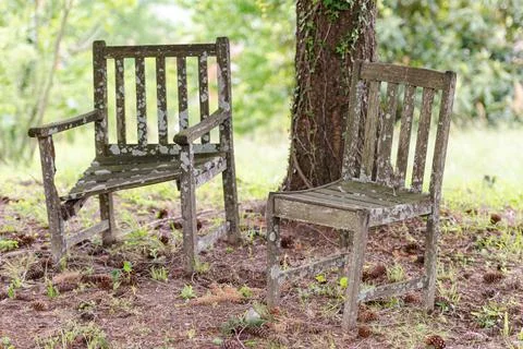 Old chairs under a tree Stock Photos