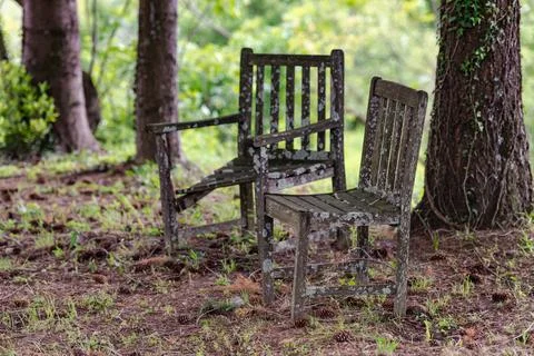 Old chairs under a tree Stock Photos
