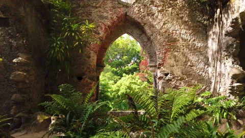 Old chapel ruins in a forest covered by vegetation Stock Footage 132529357