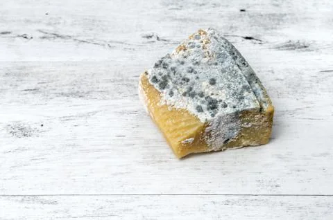 Old cheese covered with mold on rustic white wooden background Stock Photos