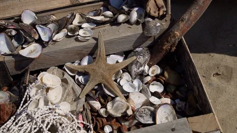 Old chest with sea shells and a sea star at a beach in the tropes Stock Footage 115490183