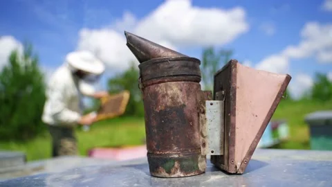 Old chimney on the apiary. Smoker on a hive on nature background under blue sky. Stock Footage 134792191