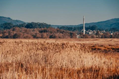 Old chimney in the marsh Foto stock