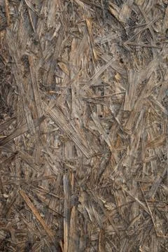 Old Chipboard Texture on Dimmed Sun Stock Photos