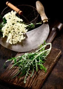 Old chopping knife with elder Stock Photos