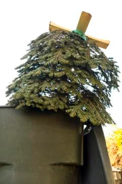 Old Christmas Tree Stock Photos