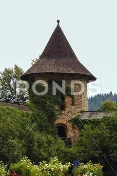 Old church covered with green ivy, outdoor Stock Photos