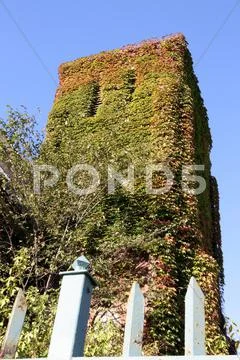 The old church tower. Stock Photos