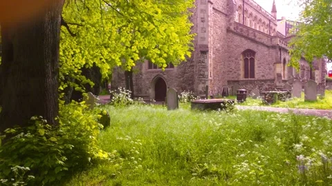 Old churchyard in springtime with long grass and cow parsley Video stock 241001445