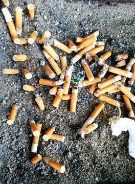 Old cigarettes filter in ashtray Stock Photos