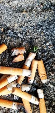 Old cigarettes filter in ashtray Stock Photos