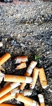 Old cigarettes filter in ashtray Stock Photos