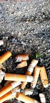 Old cigarettes filter in ashtray Stock Photos