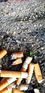 Old cigarettes filter in ashtray Stock Photos