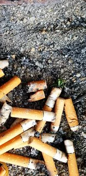 Old cigarettes filter in ashtray Stock Photos