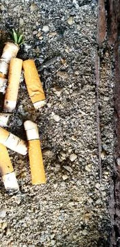 Old cigarettes filter in ashtray Stock Photos