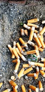 Old cigarettes filter in ashtray Stock Photos