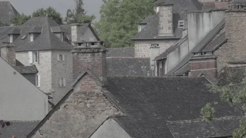 Old city with grey rooftops 스톡 동영상 146456763