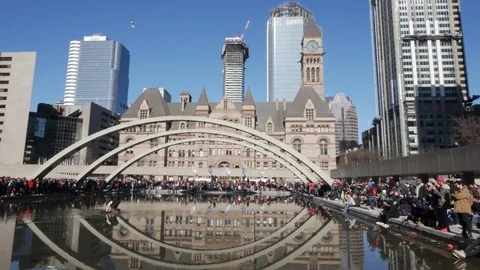 Old City Hall, Toronto. Citizen Protesting. Stock Footage