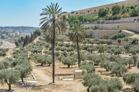 Old city Jerusalem. The Eastern Wall of the Old City of Jerusalem Stock Photos