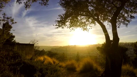 Old City Jerusalem sunset with olive tree, Israel; time lapse 4K 스톡 동영상 131317825