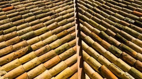 Old clay ceramic roofing tile with pine needles Stock Photos