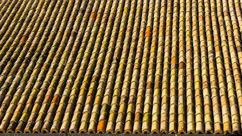 Old clay ceramic roofing tile with pine needles Stock Photos
