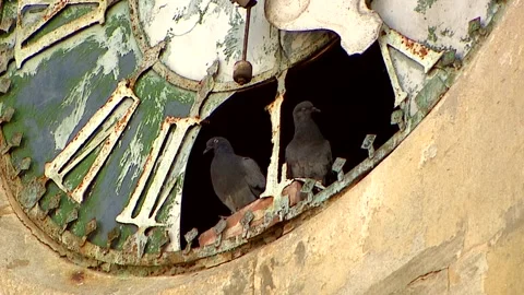 Old clock on the bell tower Stock Footage 117313721