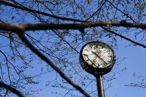 Old clock on a tree branch against the blue sky in the spring Stock Photos