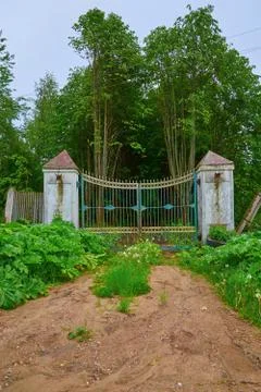 Old closed gate on background leafy avenues Stock Photos